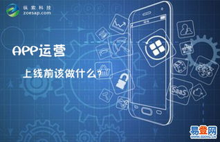 武汉纵索科技 深耕武昌关山，引领专业软件开发与网站建设新篇章