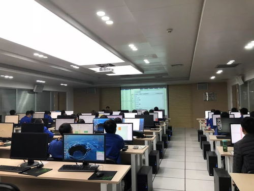 集团开展青工常用办公软件培训与技术比武，助力网络技术开发人才成长